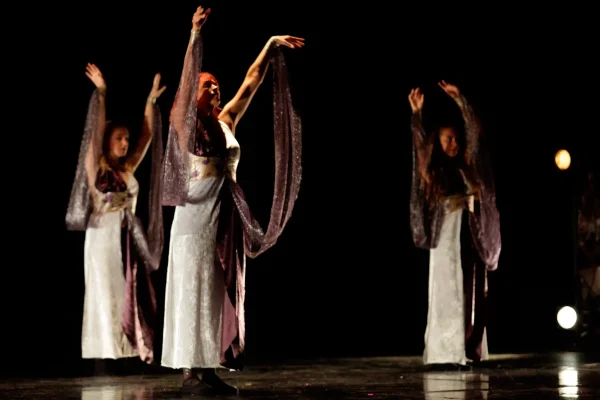 Spectacle de Danse